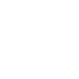 boss